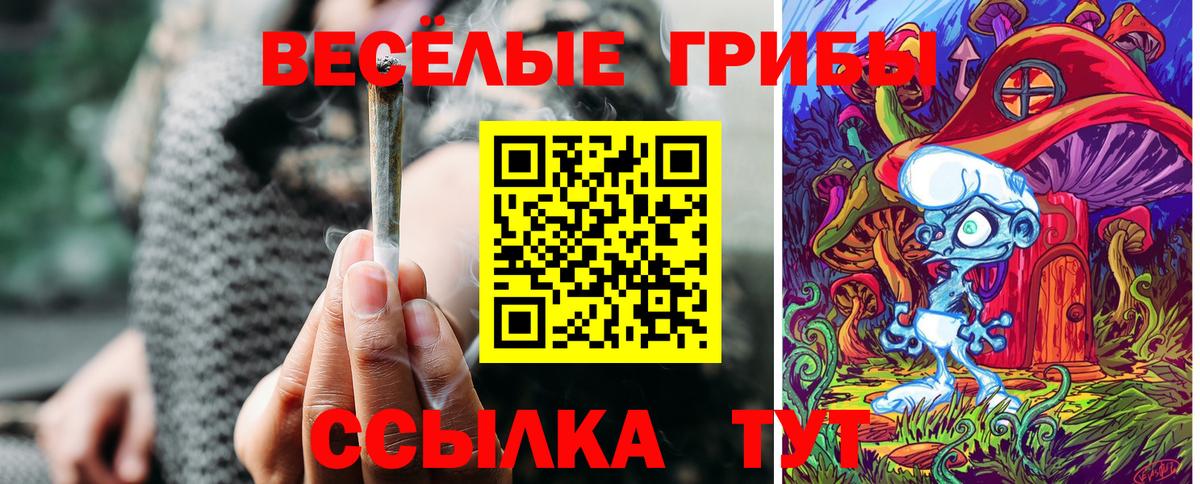 Псилоцибиновые грибы мухоморы Гатчина