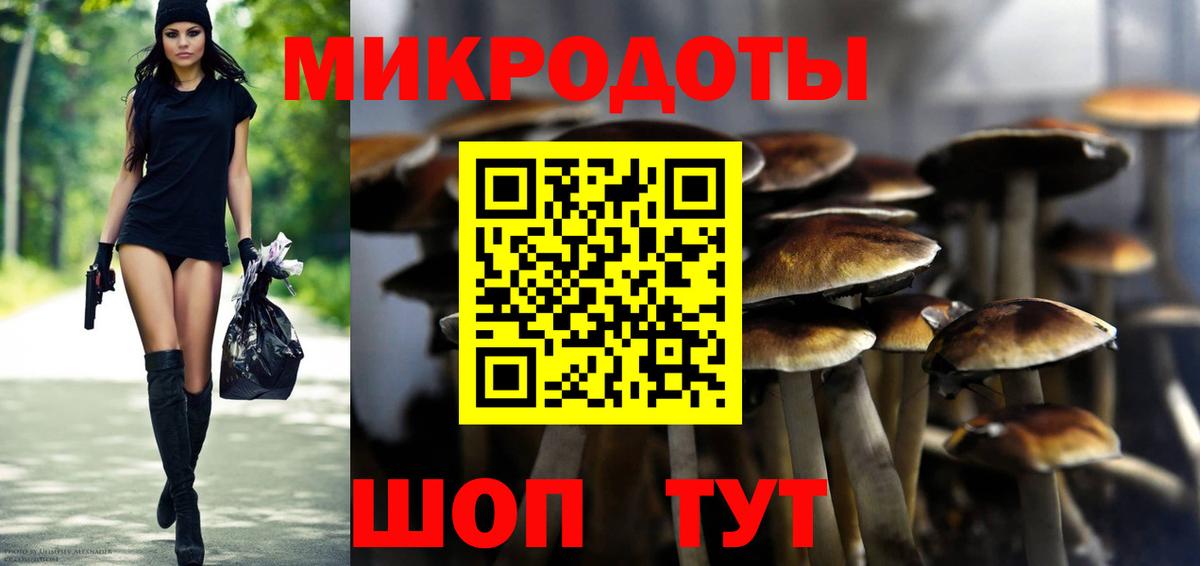 Гатчина  Псилоцибиновые грибы MAGIC MUSHROOMS  Вход с VPN 